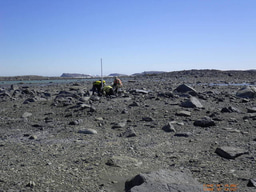 Living on air:  The hidden energy sources of Antarctic microbes